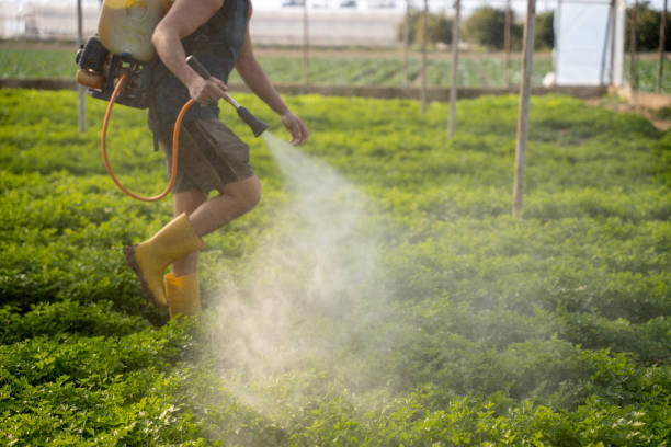 Best Pest Control for Homes  in Gibsonville, NC
