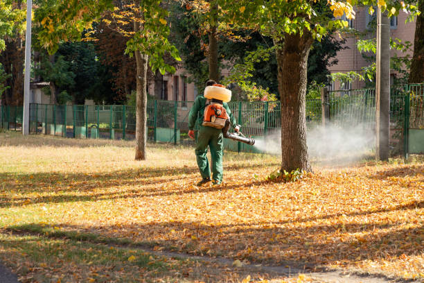 Best Flea Control Services  in Gibsonville, NC