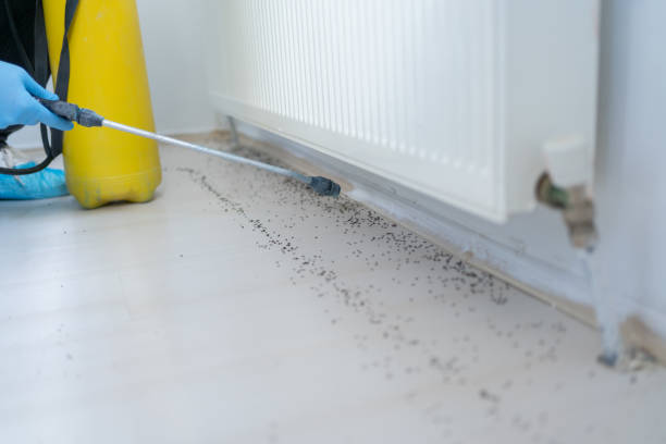 Best Pest Inspection Near Me  in Gibsonville, NC