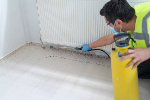 Best Bed Bug Extermination  in Gibsonville, NC